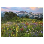 Tatoosh Mountains