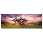 Oak Tree - Columbia Hills State Park USA