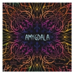 Amygdala