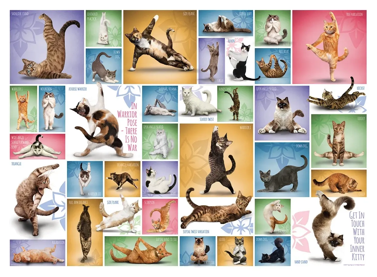Collage - Yoga Katzen