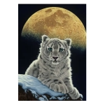 Schim Schimmel - Moon Leopard