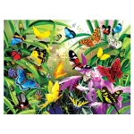 Tropical Butterflies - Lori Schory