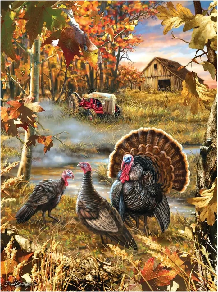 Turkey Ranch - Dona Gelsinger