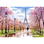 Romantischer Spaziergang durch Paris