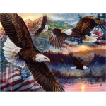 Land of Freedom - Martin McGuire