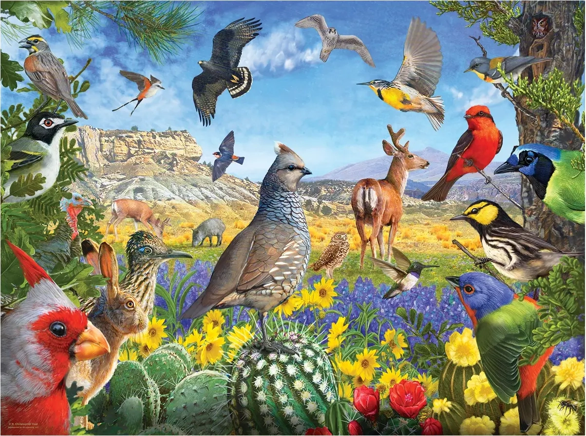 Texas Birds - R. Christopher Vest
