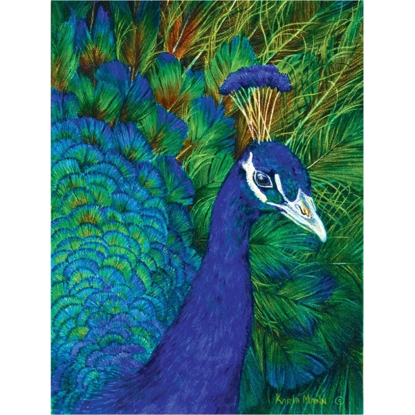 Peacock - Karla Mann