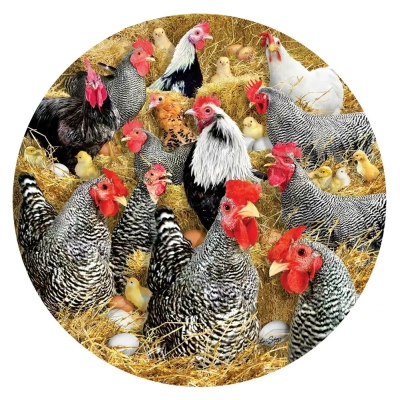 Chickens and Chicks - Lori Schory