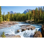 Athabasca River - Jasper National Park - Kanada