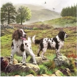 Spaniels On The Moor