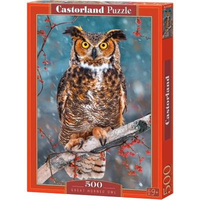 Great Horned Owl