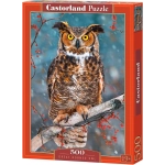 Great Horned Owl