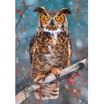 Great Horned Owl