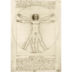 The Vitruvian Man - 1490 - Leonardo Da Vinci