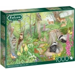 Woodland Wildlife