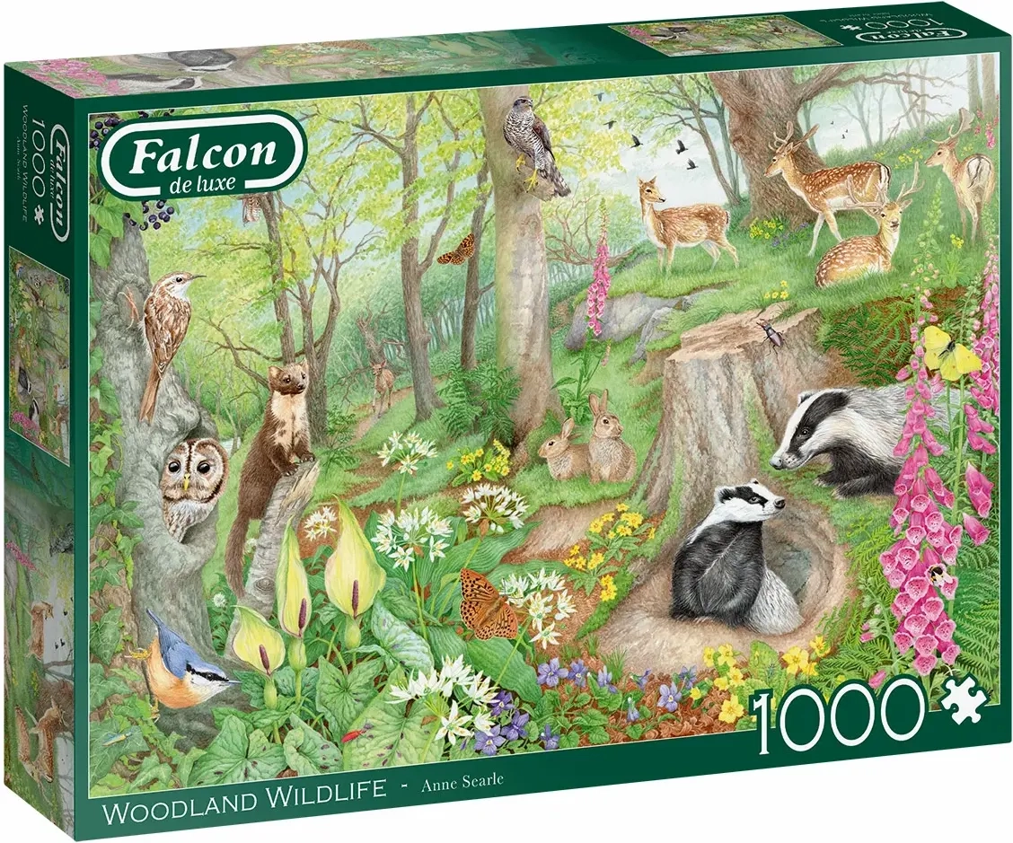Woodland Wildlife