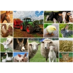 Collage - Bauernhoftiere