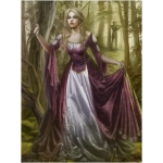 The Melody of the Forest