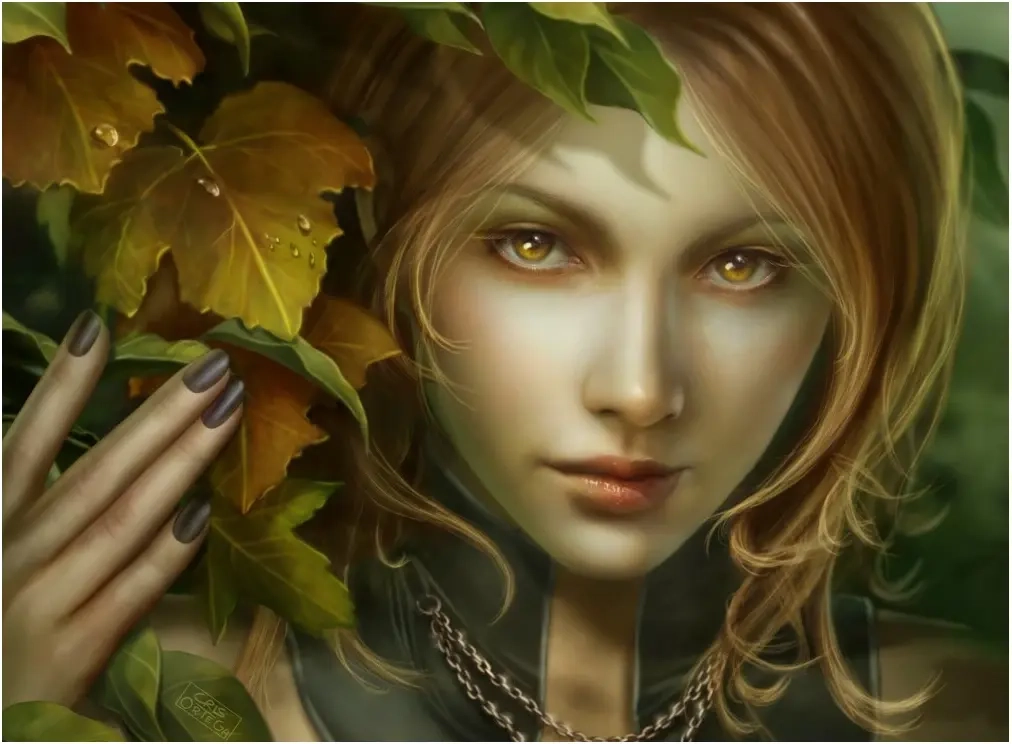The Leaf Say