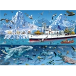 Arctic - Bluebird Boat - François Ruyer