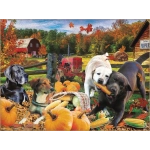 Harvest Helpers - Rafael Trujillo