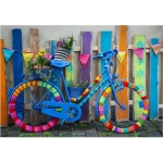 My Beautiful Colorful Bike