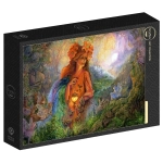 Lighting the Way - Josephine Wall