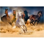 Horses Running in the Desert