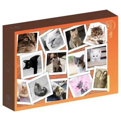 Collage - Chats