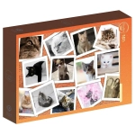 Collage - Chats