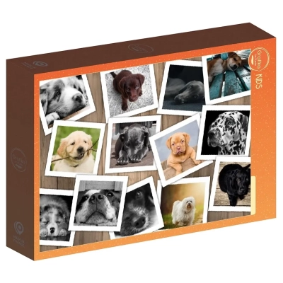 Collage - Chiens