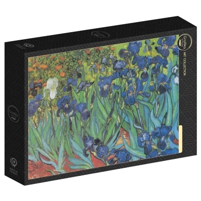 Van Gogh Vincent - Saint-Remy - Les Iris, 1889