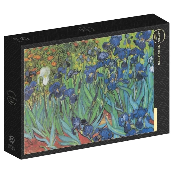 Van Gogh Vincent - Saint-Remy - Les Iris, 1889