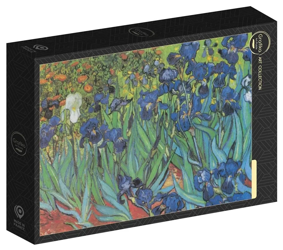 Van Gogh Vincent - Saint-Remy - Les Iris, 1889