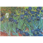 Van Gogh Vincent - Saint-Remy - Les Iris, 1889