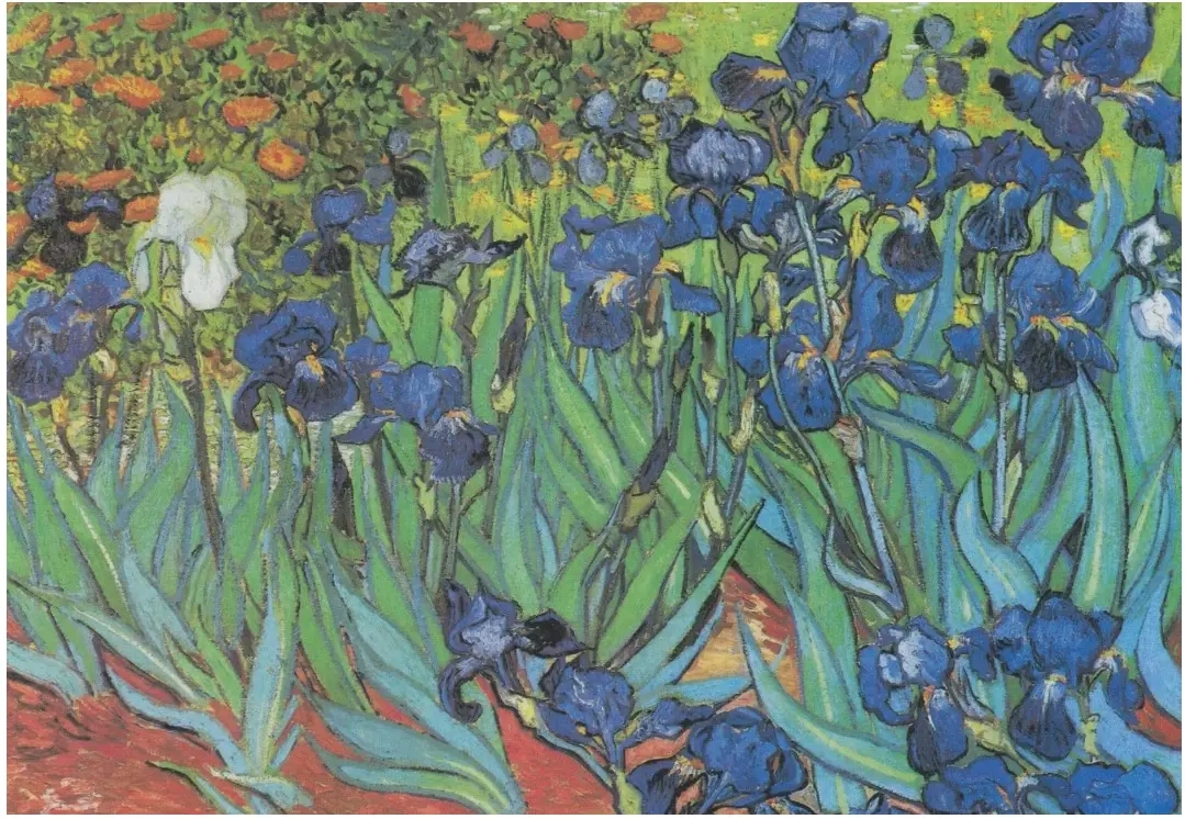 Van Gogh Vincent - Saint-Remy - Les Iris, 1889