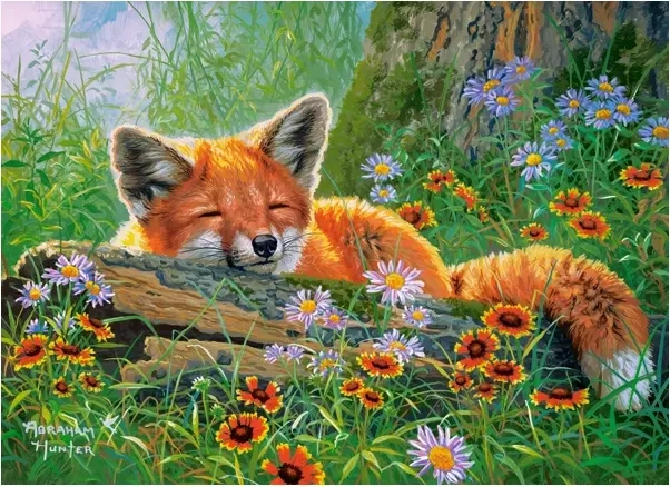 Foxy Dreams