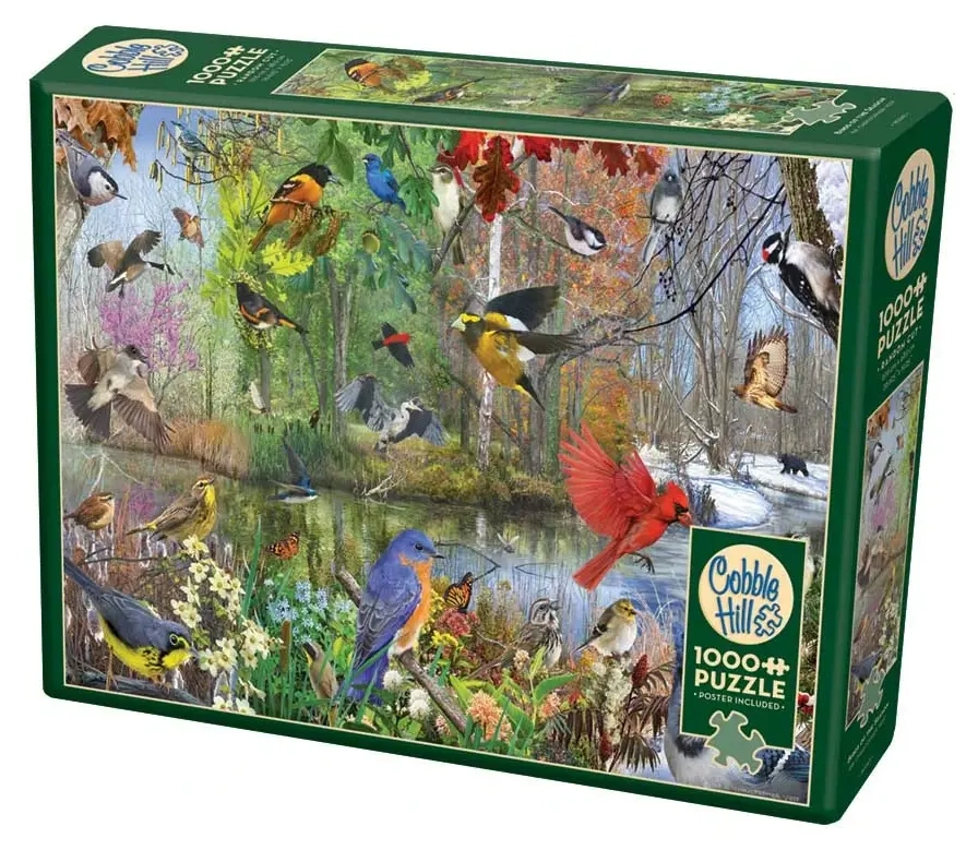 Birds of the Season - Christopher Vest