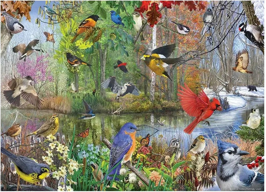 Birds of the Season - Christopher Vest