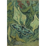 Van Gogh - Giant Peacock Moth, 1889