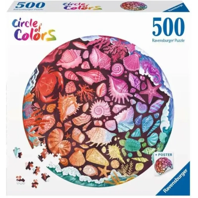 Circle of colors - Seashells