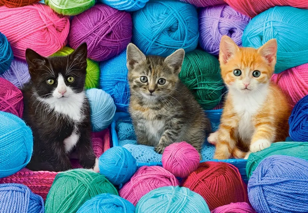 Kittens in a Yarn Store