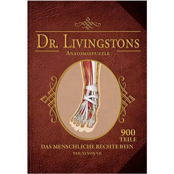 Dr. Livingstons Anatomiepuzzle: Das rechte Bein