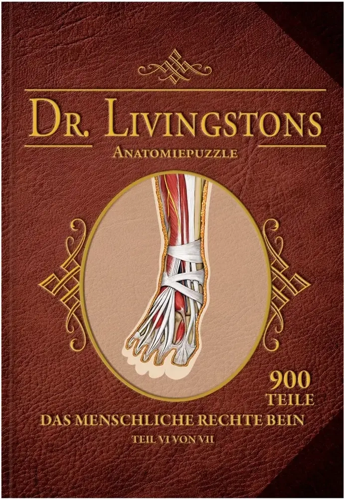 Dr. Livingstons Anatomiepuzzle: Das rechte Bein