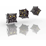 Tiny Epic Pirates Skull Dice