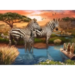 Zebras am Wasserloch