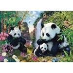 Pandafamilie am Wasserfall - Steve Read