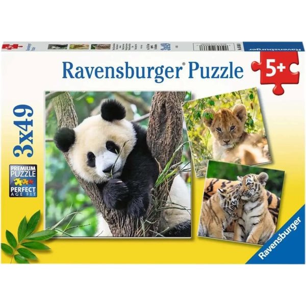 Panda, Tiger und Löwe