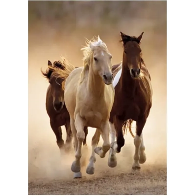 Sprintende Pferde