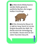 Pocket Quiz junior – Allgemeinwissen